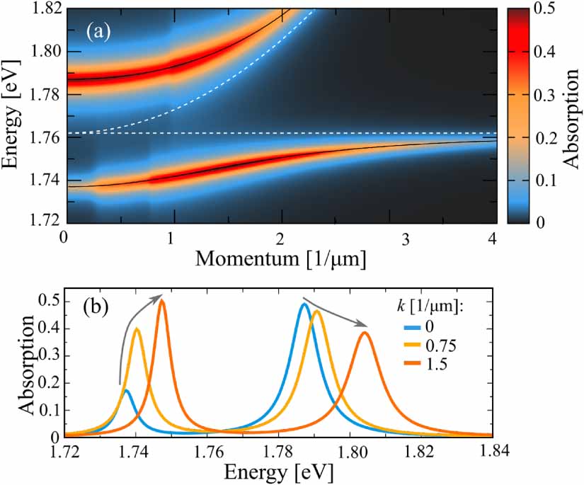 Signatures of dark excitons in exciton–polariton optics of transition ...