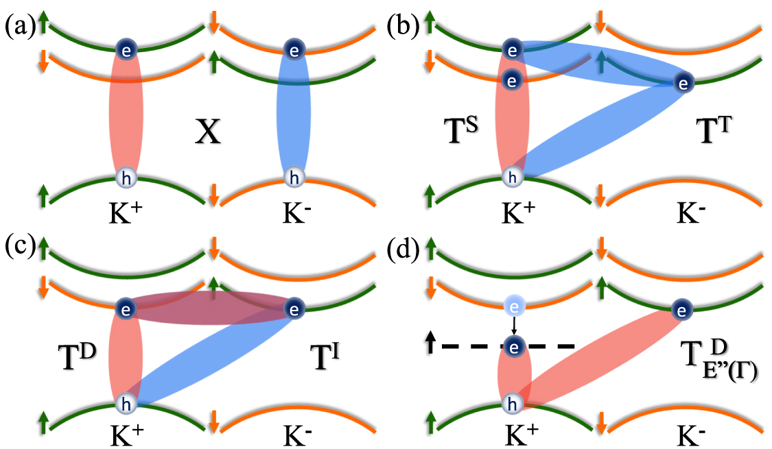 Excitons and trions in WSSe monolayers - IOPscience