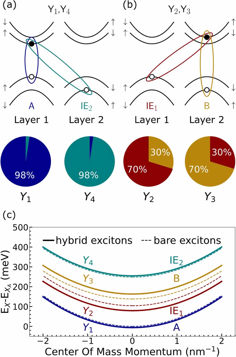 Interlayer exciton polaritons in homobilayers of transition metal ...