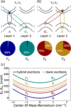 Interlayer exciton polaritons in homobilayers of transition metal ...