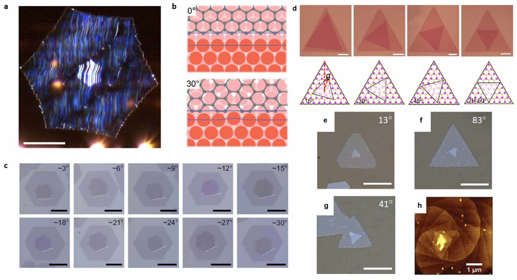 Growth and applications of two-dimensional single crystals - IOPscience