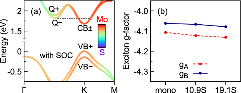 Proximity-enhanced valley Zeeman splitting at the WS2/graphene ...