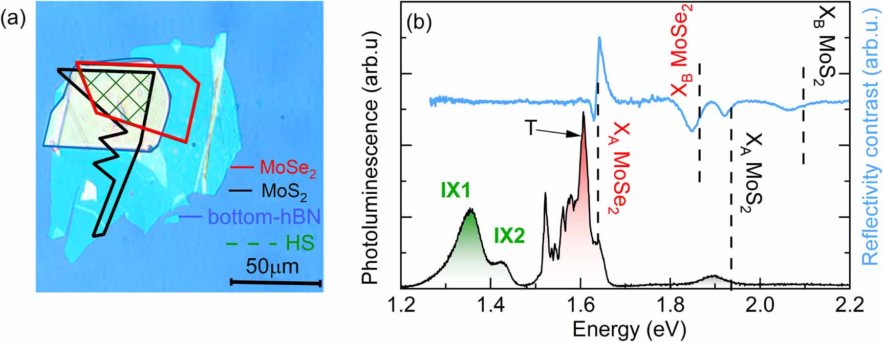 Twist-angle dependent dehybridization of momentum-indirect excitons in ...