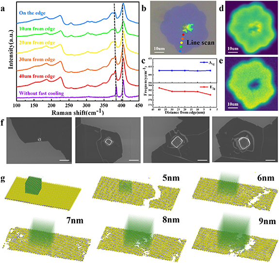 In situ strain-induced phase transition and defect engineering in CVD ...