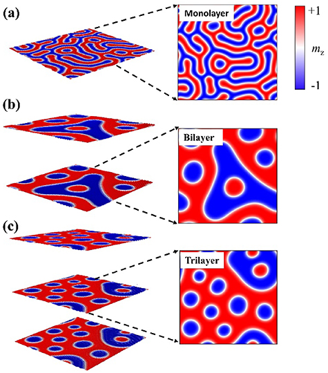 Layer-dependent Dzyaloshinskii–Moriya interaction and field-free ...