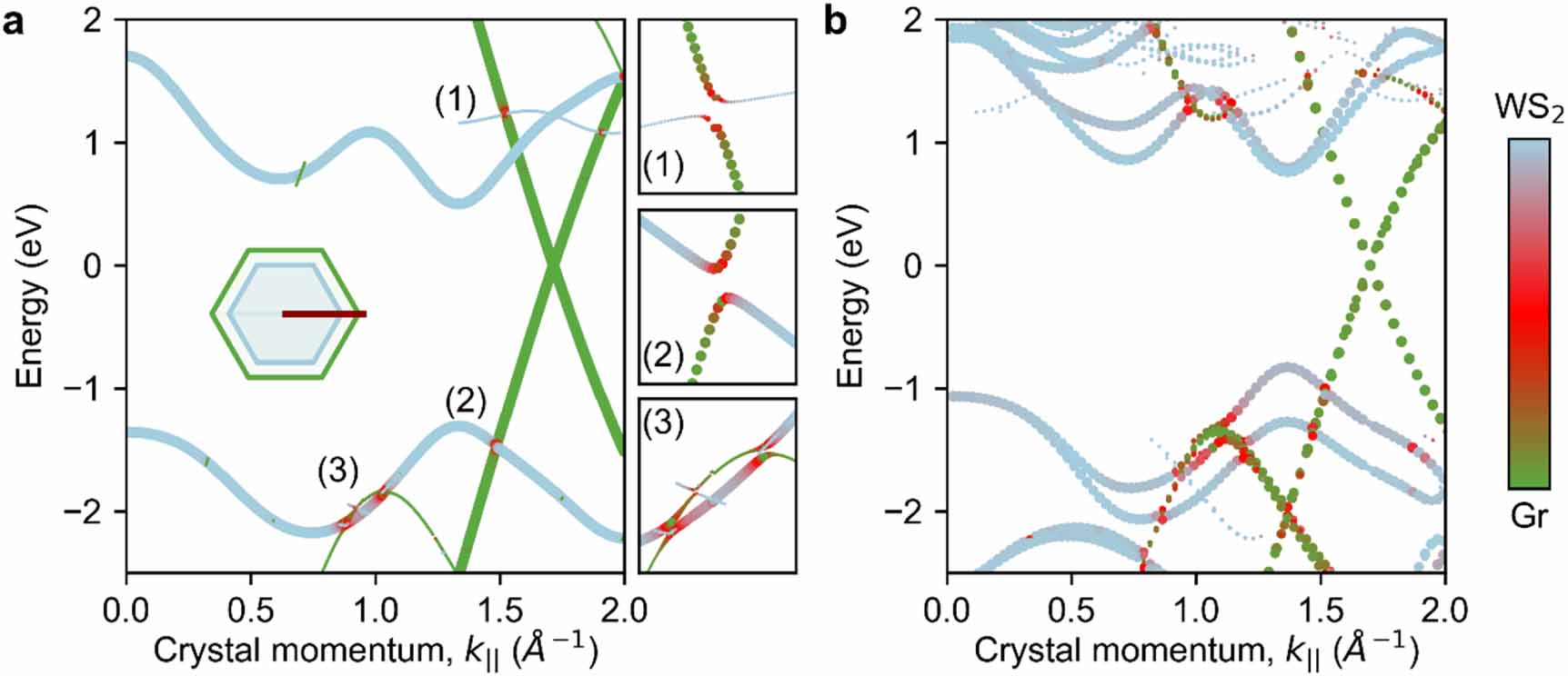 Link between interlayer hybridization and ultrafast charge transfer in ...