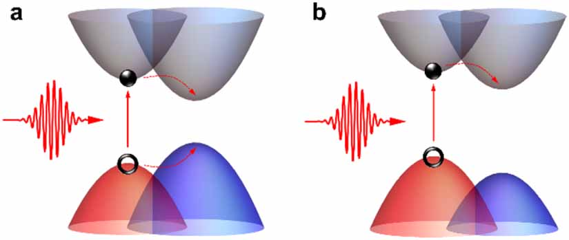 Link between interlayer hybridization and ultrafast charge transfer in ...