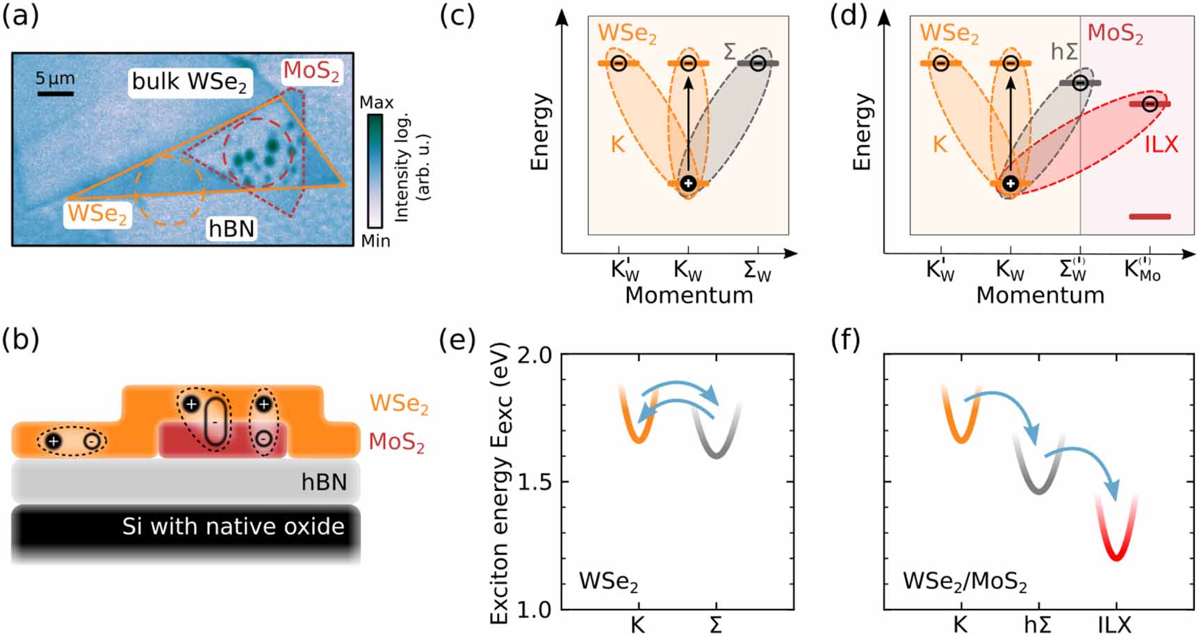 Ultrafast dynamics of bright and dark excitons in monolayer WSe2 and ...