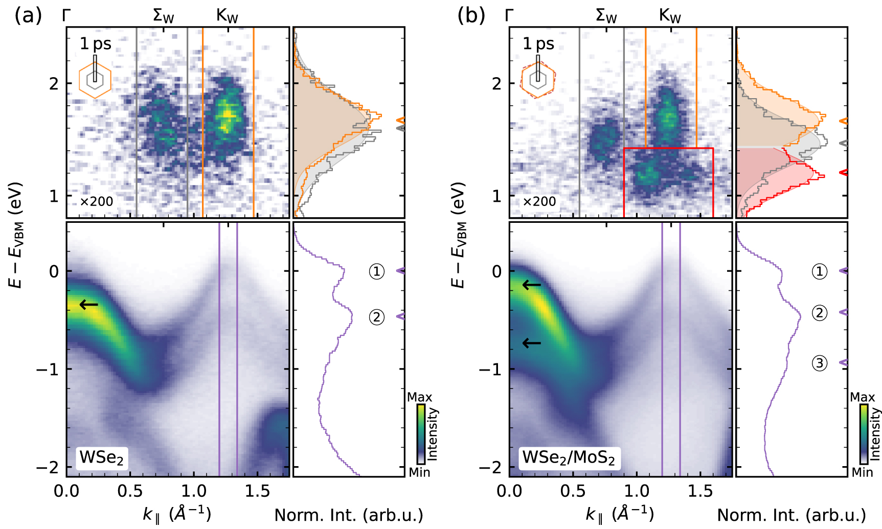 Ultrafast dynamics of bright and dark excitons in monolayer WSe2 and ...