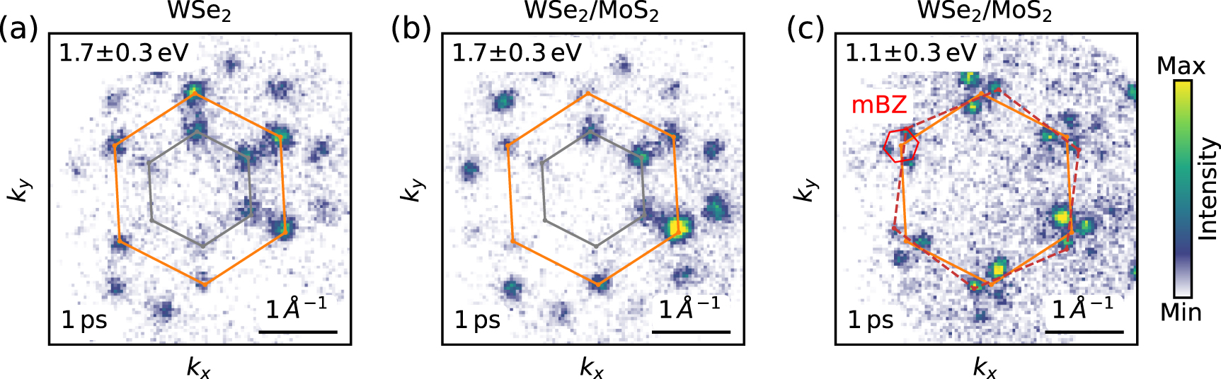 Ultrafast dynamics of bright and dark excitons in monolayer WSe2 and ...