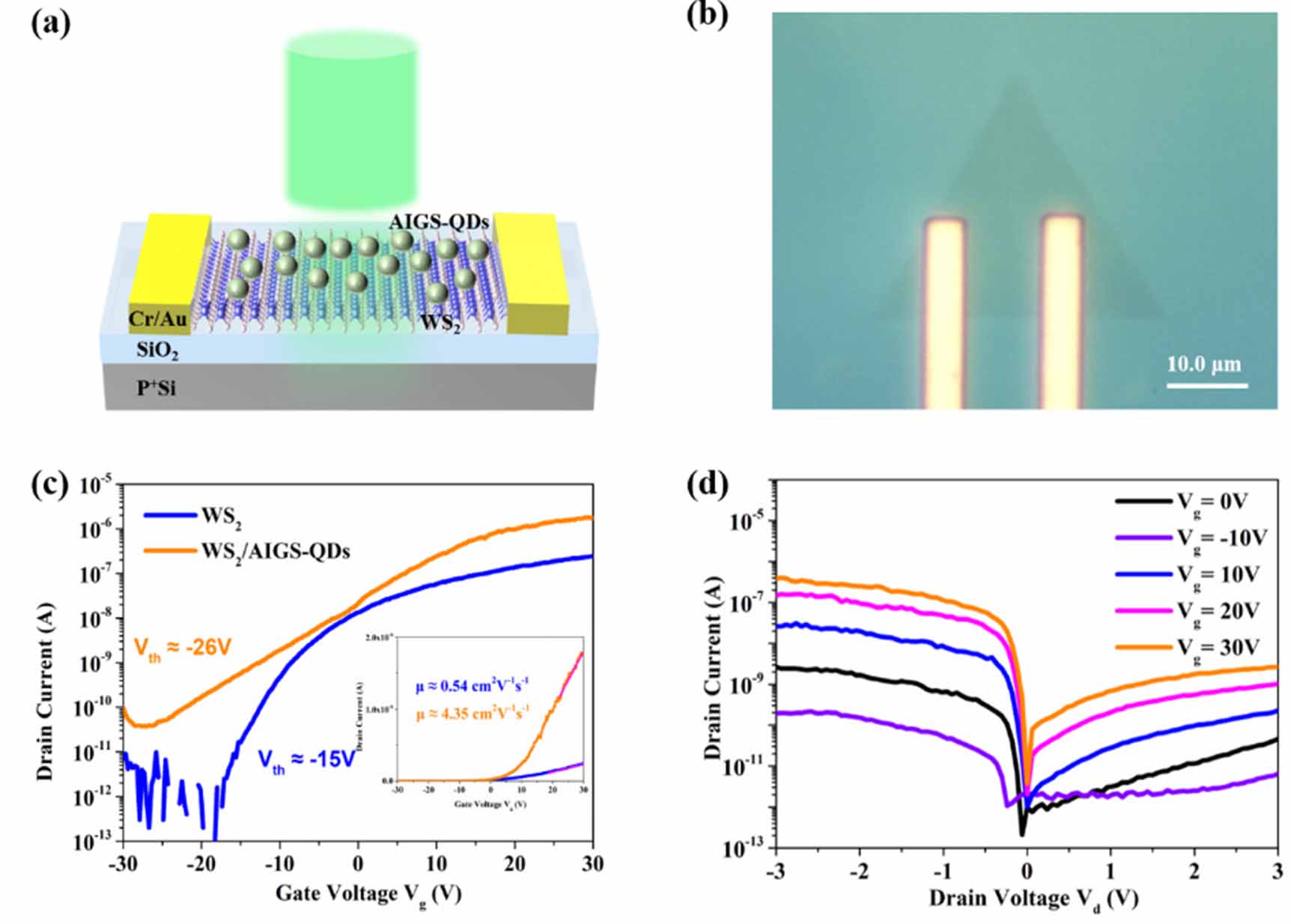 Ultrasensitive photodetector based on 2D WS2/AgInGaS quantum dots ...