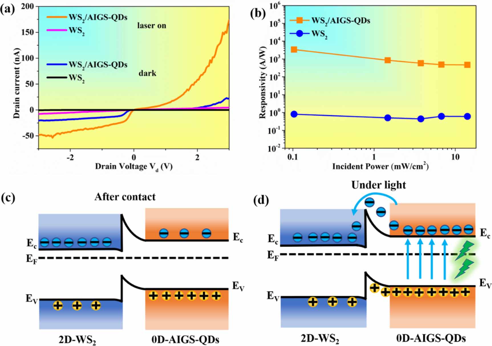 Ultrasensitive photodetector based on 2D WS2/AgInGaS quantum dots ...