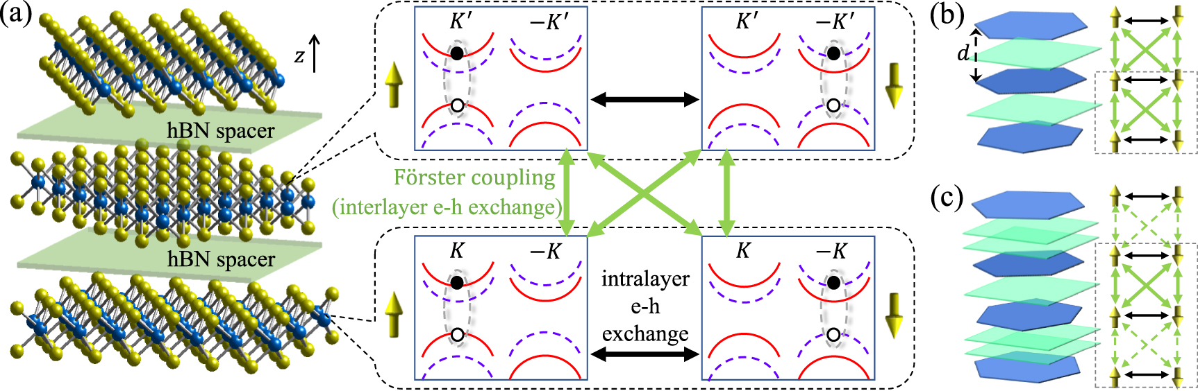 Cross-dimensional valley excitons from Förster coupling in arbitrarily ...