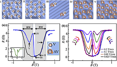 Transient vortex dynamics and evolution of Bose metal from a 2D ...