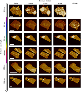 Recent progress on degradation mechanism and antioxidation of low ...