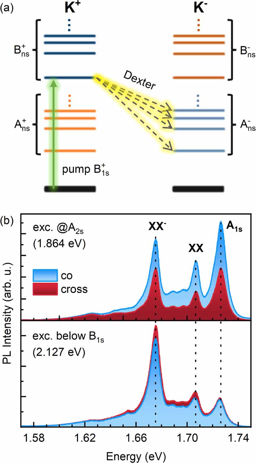 Control of the valley polarization of monolayer WSe2 by Dexter-like ...