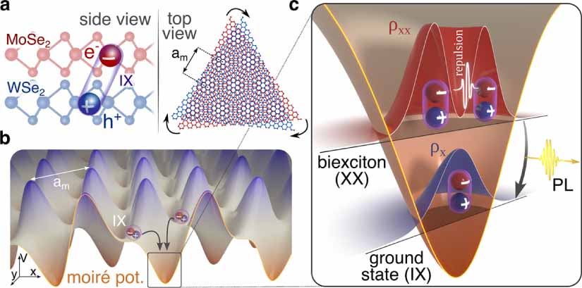 Optical signatures of moiré trapped biexcitons - IOPscience
