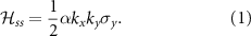 Equation (1)