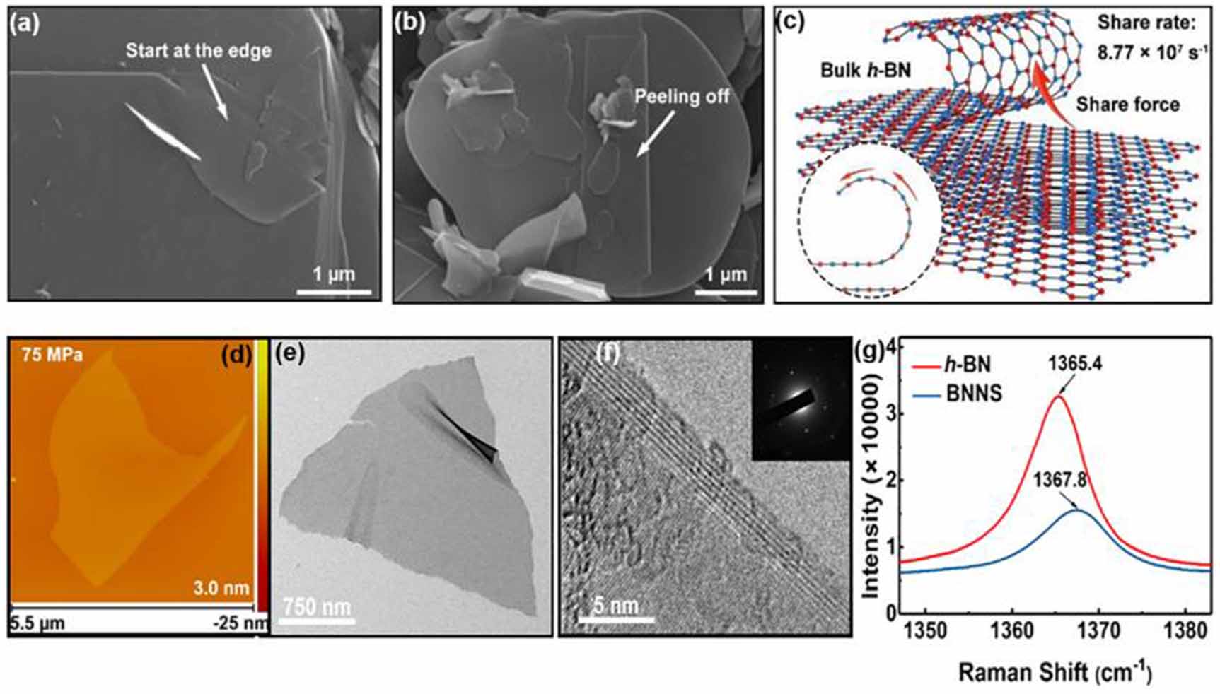 Liquid-phase exfoliated 2D materials for lithium-ion battery anode