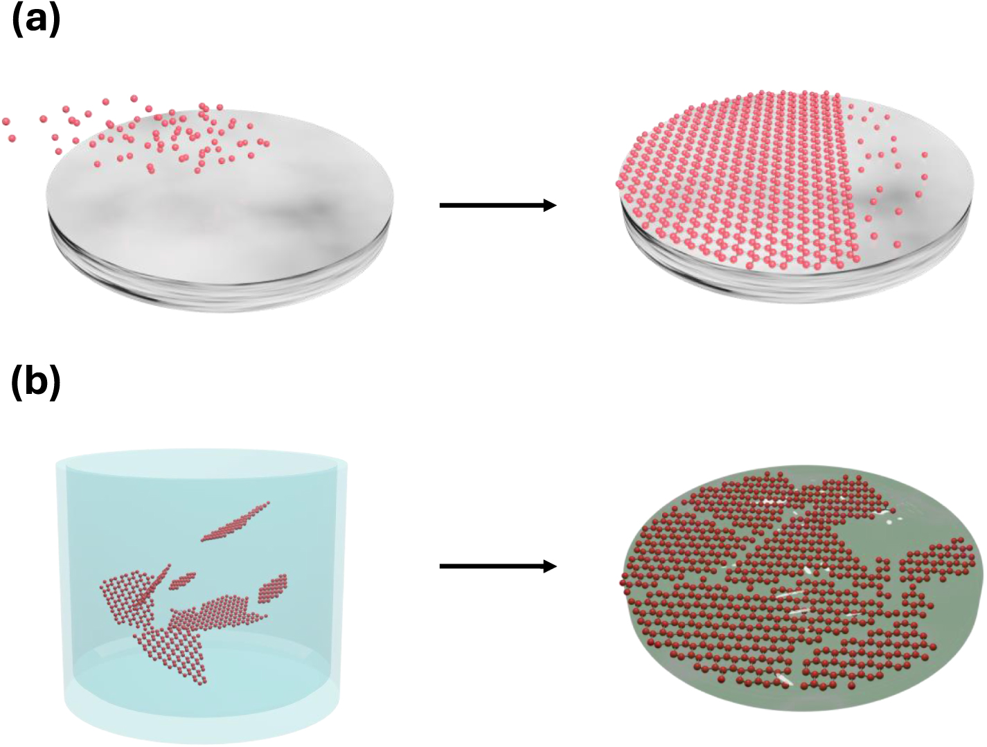 The future of Xenes beyond graphene: challenges and perspective ...