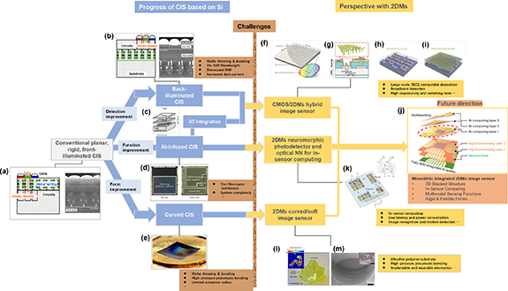 Perspectives on 2D materials for hybrid and beyond-Si image sensor ...