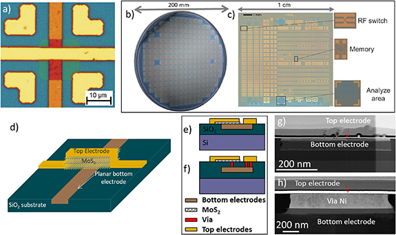 Development and optimization of large-scale integration of 2D material ...