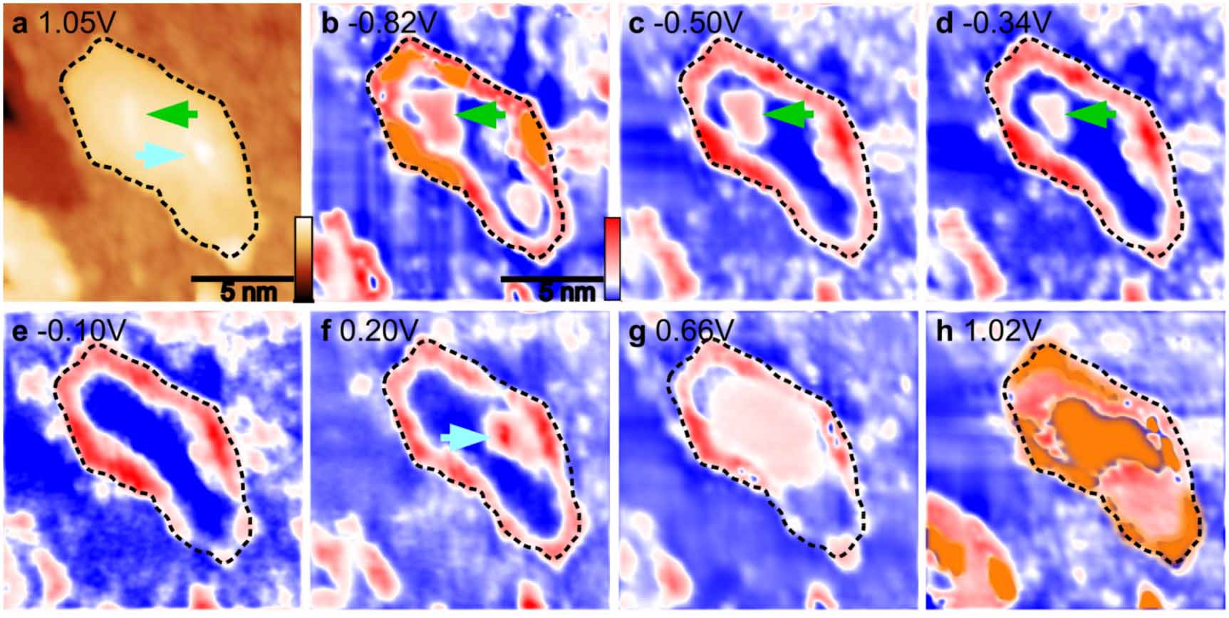 Robust large-gap quantum spin Hall states in stabilized bismuthene on ...