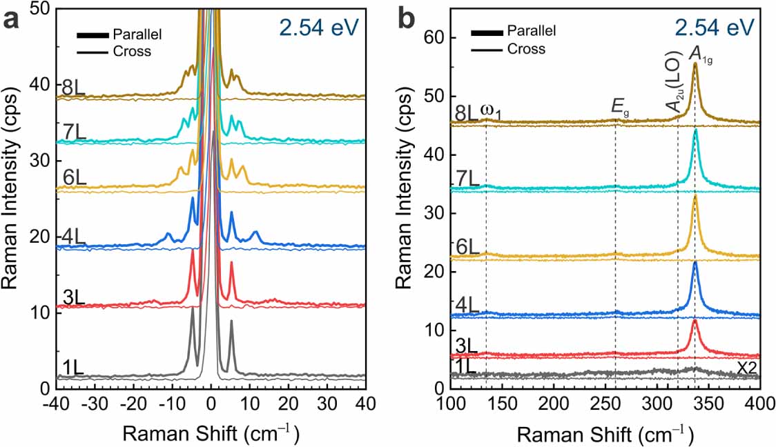 Raman spectroscopy of atomically thin HfX2 (X=S, Se) - IOPscience