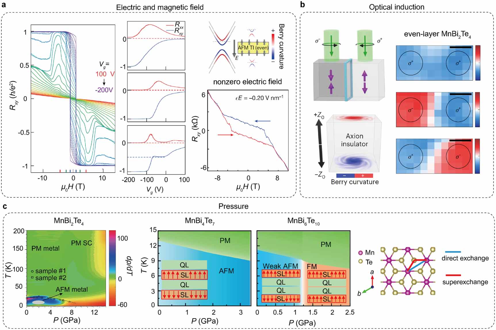 Intrinsic and defect-related magnetism of MnBi2Te4(Bi2Te3)n family