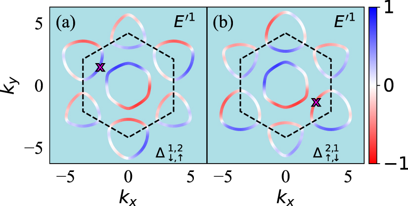 Unconventional pairing in Ising superconductors: application to ...