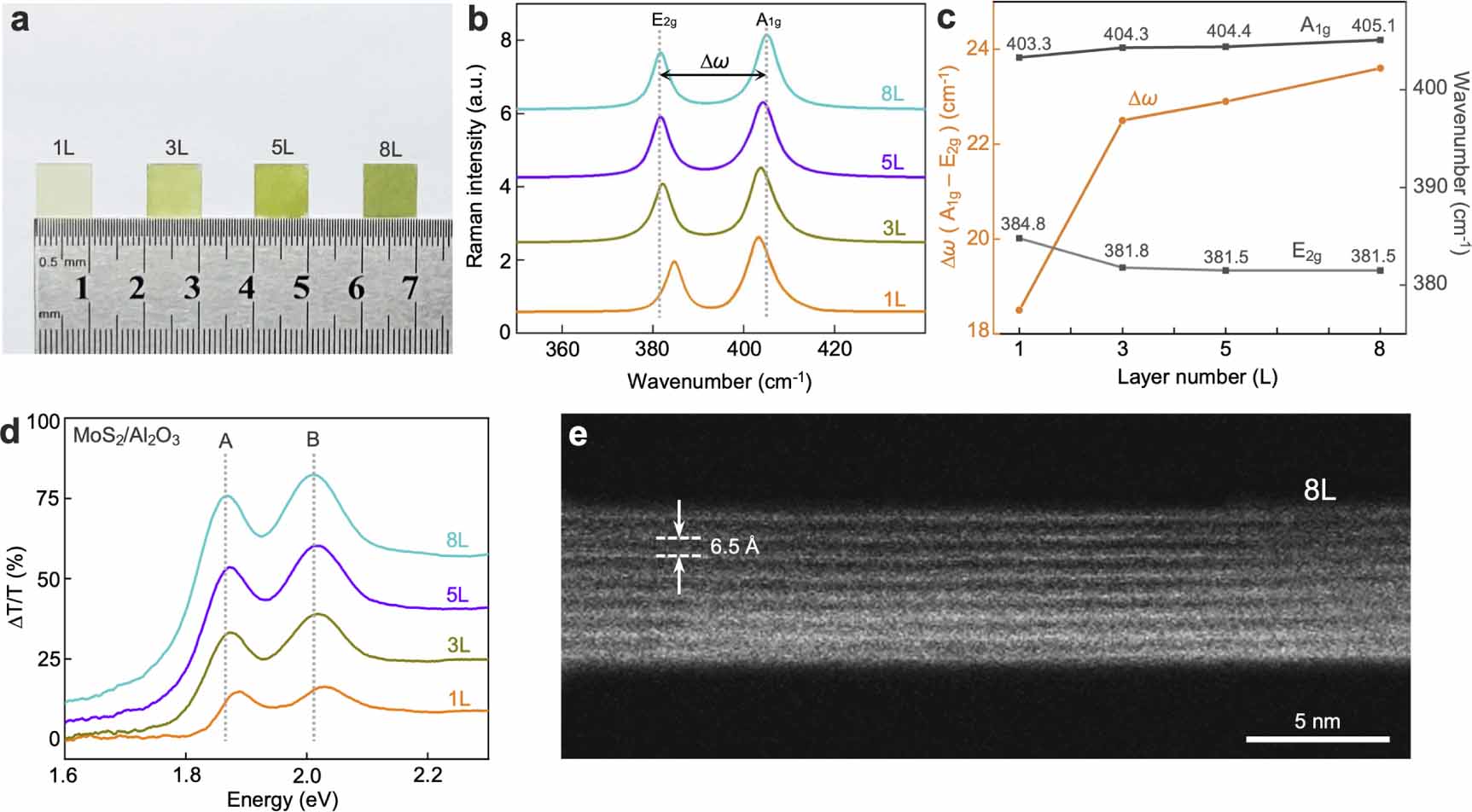 Multiple conformal-contact transfer of large-area crack-free transition ...
