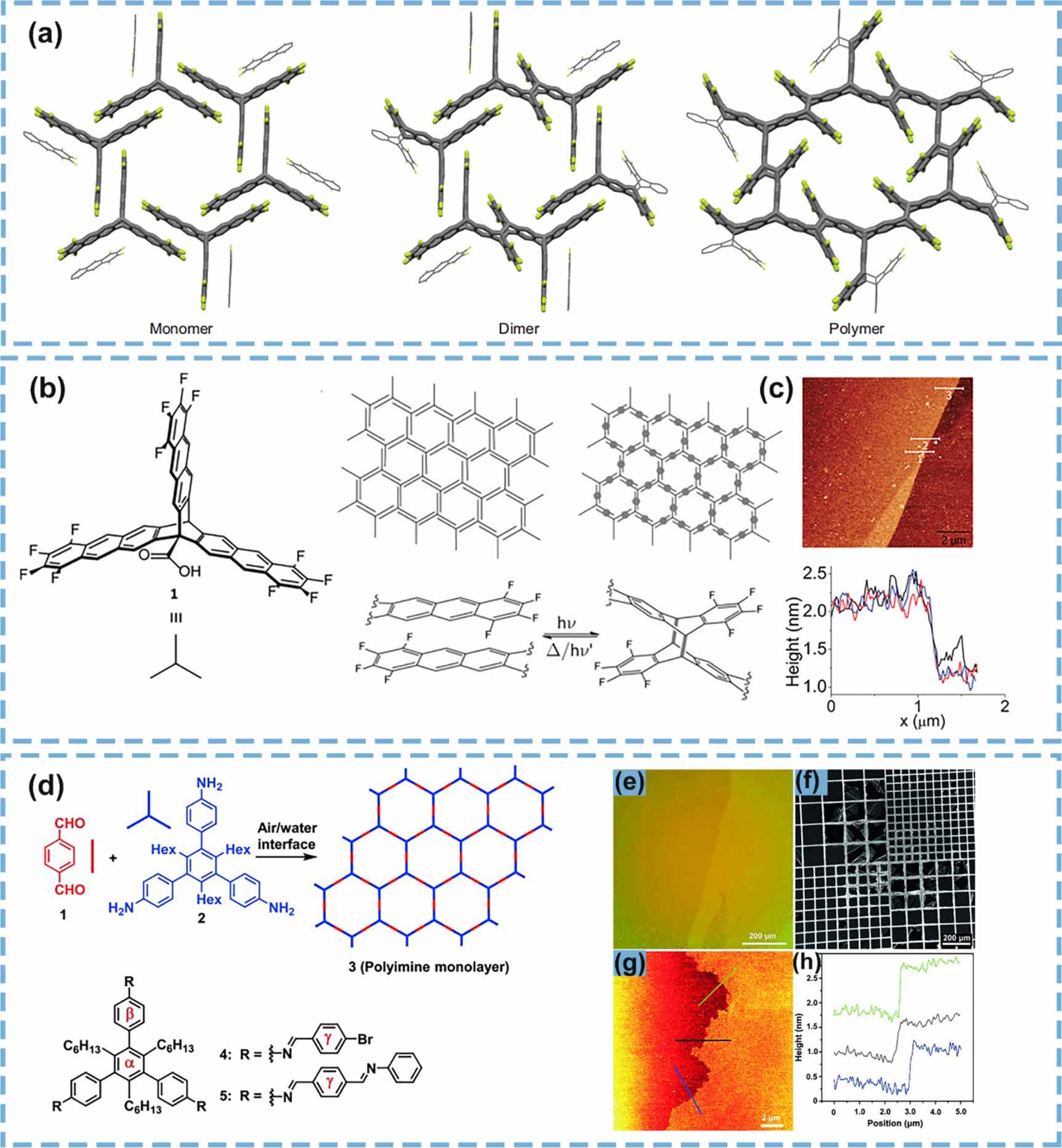 Recent progress in two-dimensional polymer materials: interfacial ...