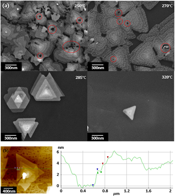 Molecular beam epitaxial step-edge growth of integrated hetero ...