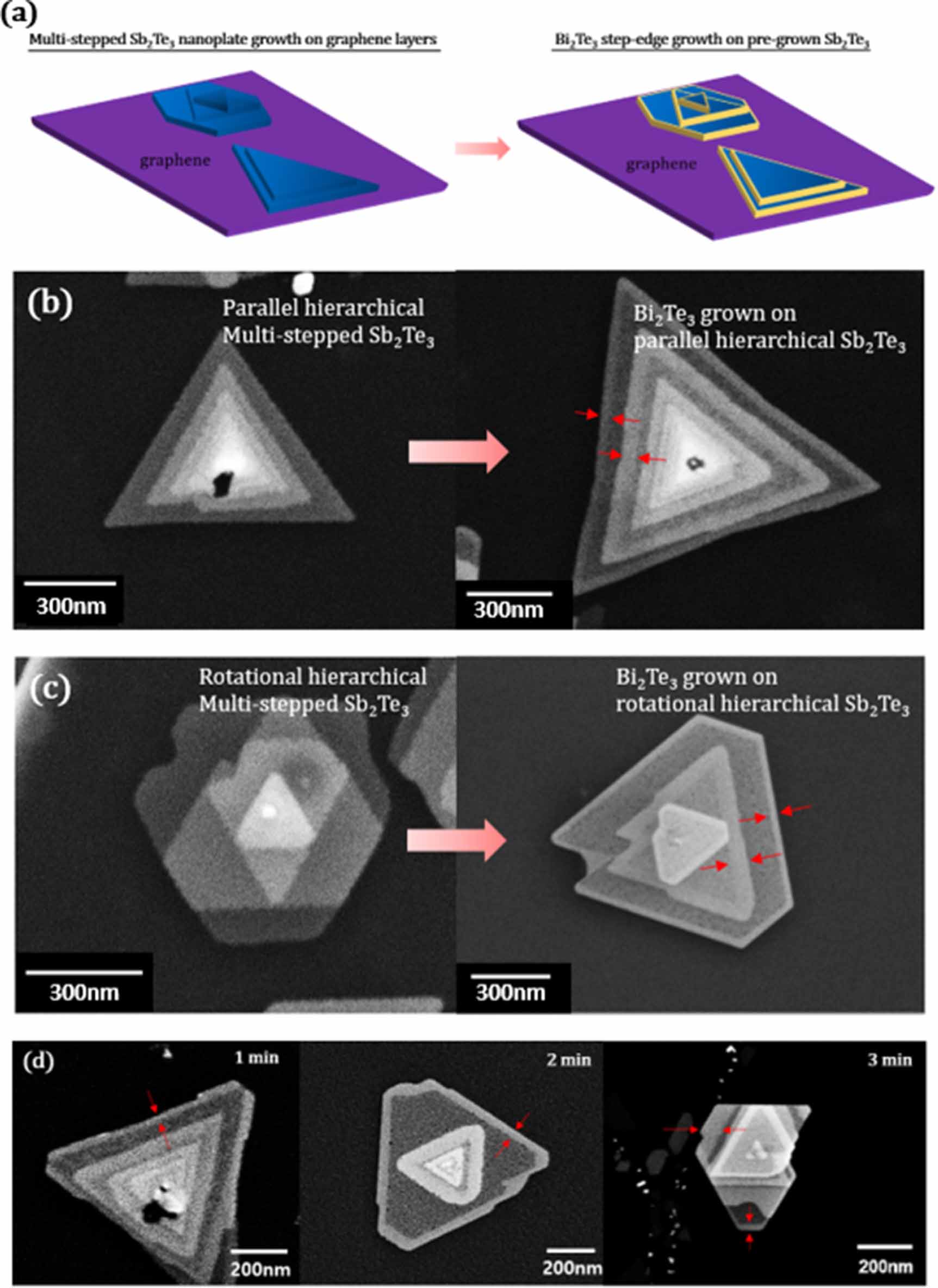 Molecular beam epitaxial step-edge growth of integrated hetero ...