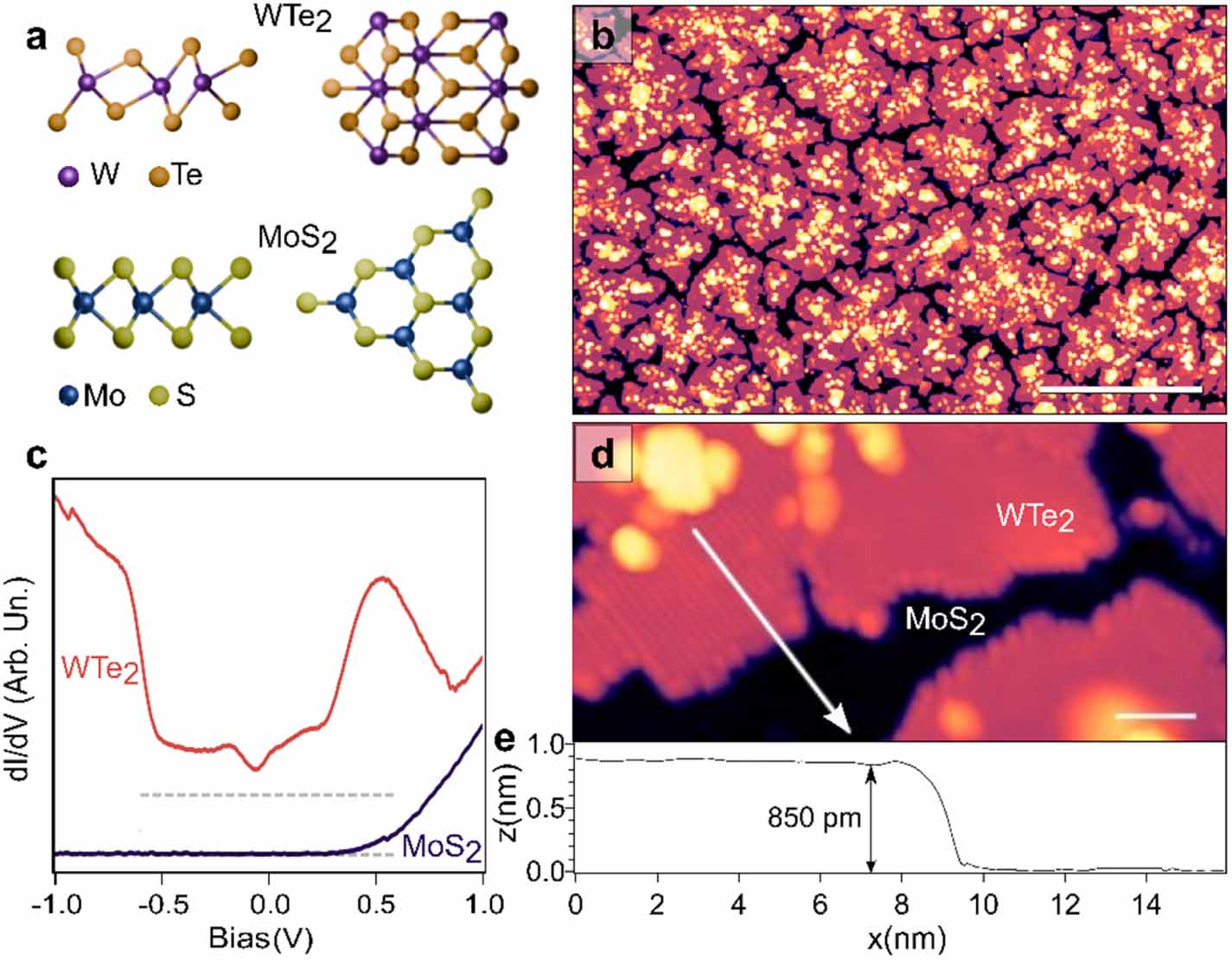 Reversal of charge transfer doping on the negative electronic ...