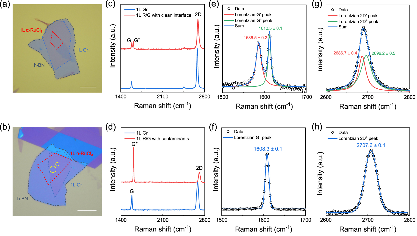 The role of α-RuCl3 flat bands in G peak splitting in graphene/α-RuCl3 ...