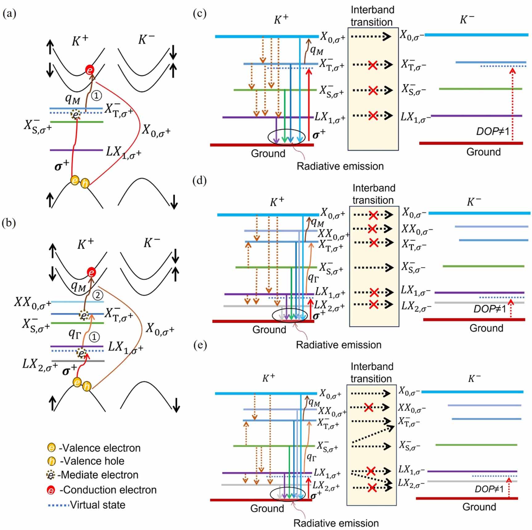 Valley emission and upconversion in isotopically engineered monolayer ...