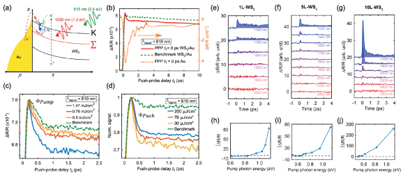 Figure 4. Refer to the following caption and surrounding text.