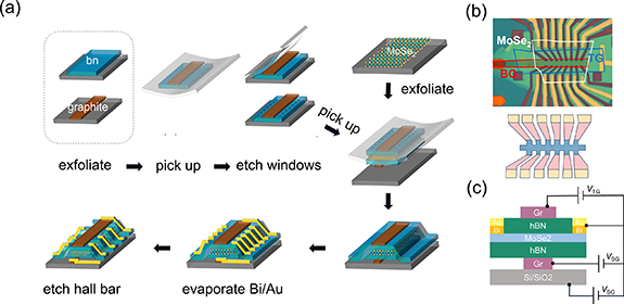 Density-dependent spin susceptibility and effective mass in monolayer ...