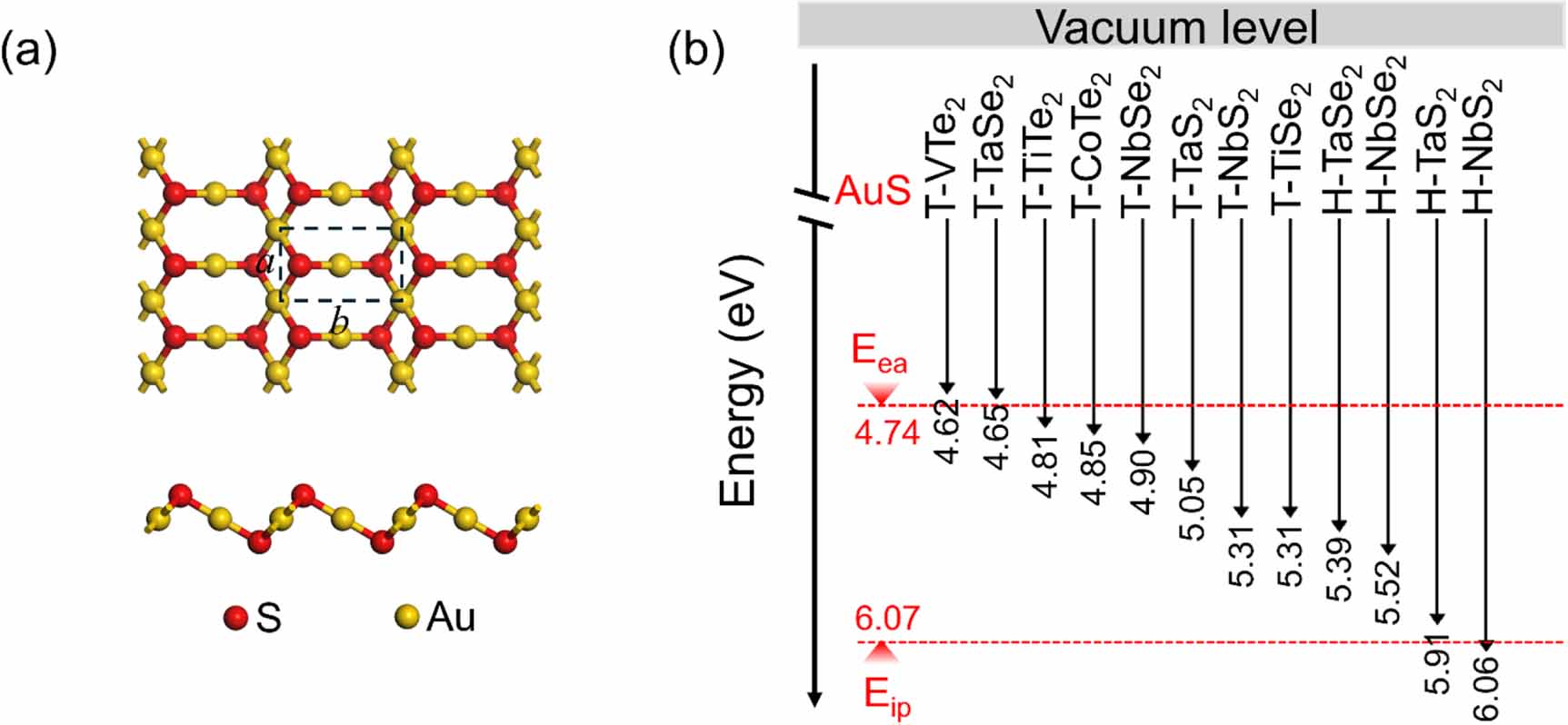 Tunable interfacial electronic properties and contact types in 2D AuS/m ...