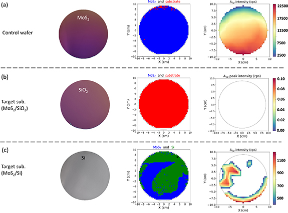 2D material fab-scale transfer of 200 mm wafer using molecular direct ...