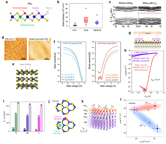 Si2 Model Advances and challenges in 2D semiconductor devices for monolithic 3D ...