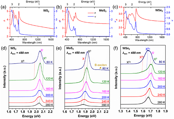 Comparison of the MOCVD growth and properties of wafer-scale transition ...