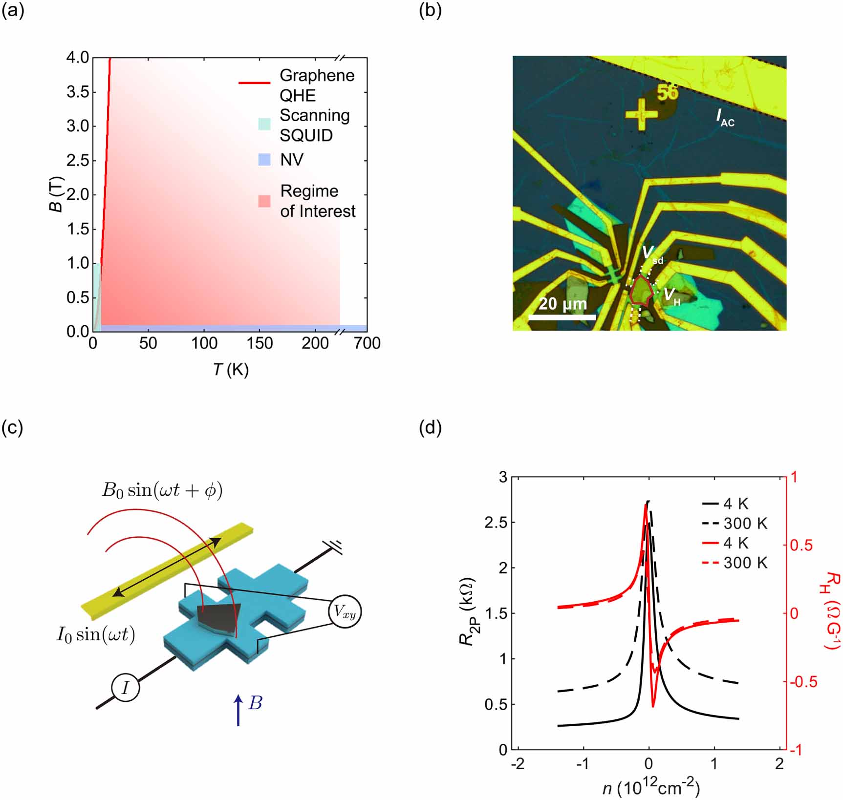AC magnetometry of van der Waals magnets using ultrasensitive graphene ...