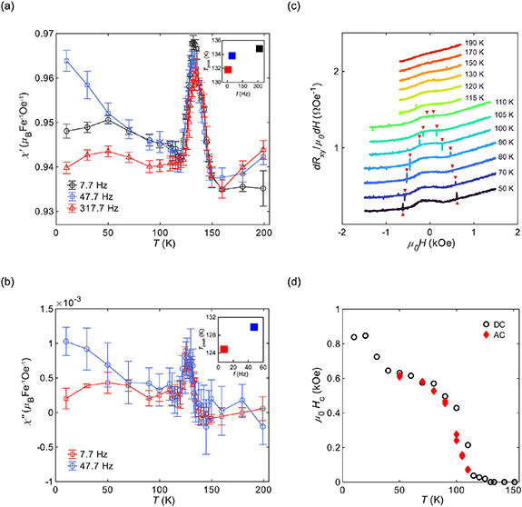 AC magnetometry of van der Waals magnets using ultrasensitive graphene ...
