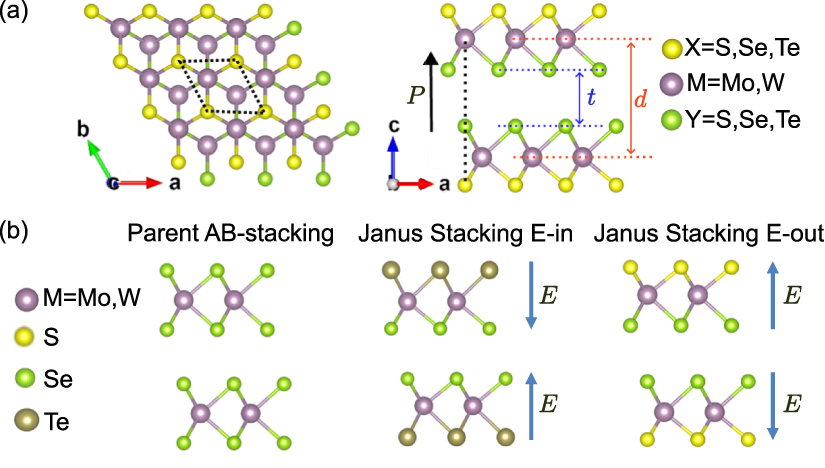 Modulation of polarization and metallicity in Janus sliding ...