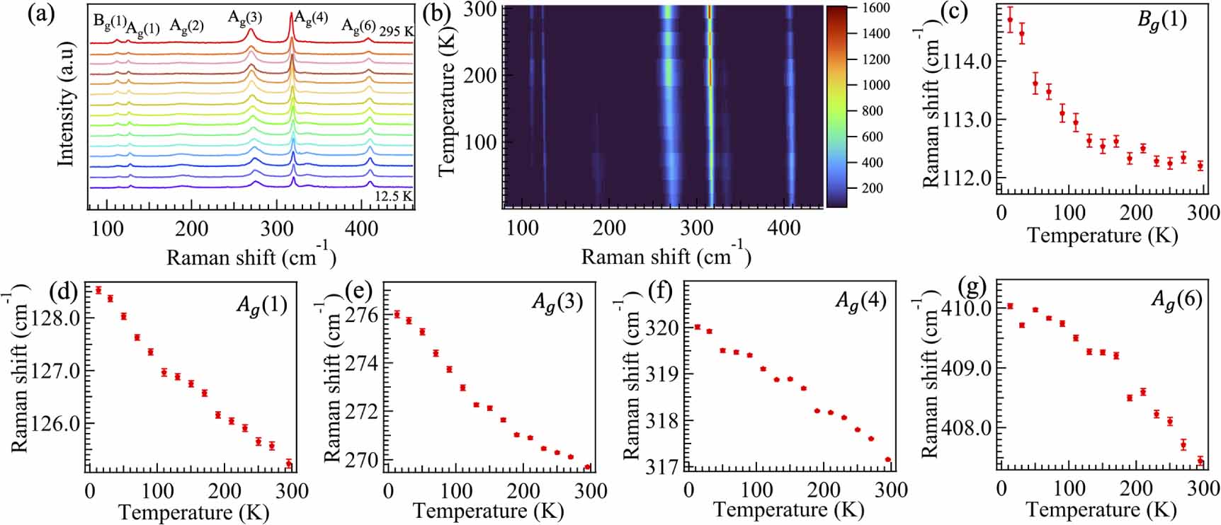 Temperature-dependent polarized Raman scattering in candidate ...