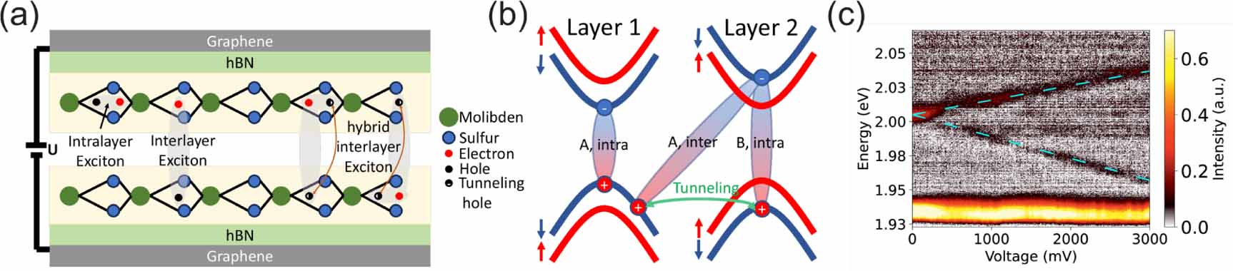 Tuning the non-linear interactions of hybrid interlayer excitons in ...