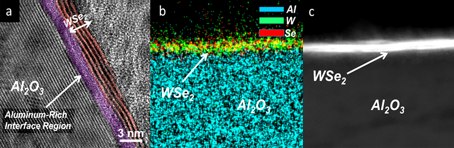 Wse2 Rods Large-area synthesis of WSe2 from WO3 by selenium–oxygen ion exchange ...