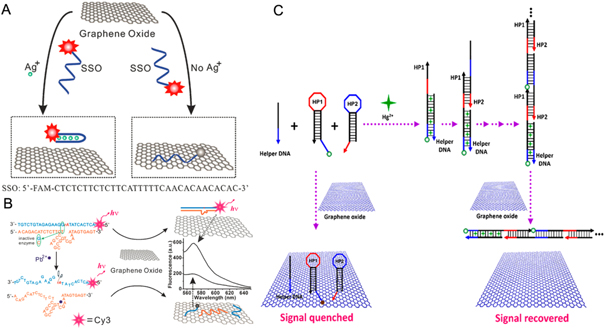 Graphene and graphene-like 2D materials for optical biosensing and ...